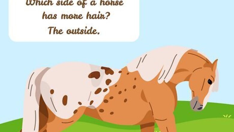 150+ Funny Horse Jokes, Puns & One-Liners for Kids and Adults