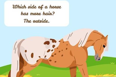 150+ Funny Horse Jokes, Puns & One-Liners for Kids and Adults