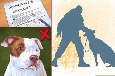 How to Buy Dog Owners Liability Insurance