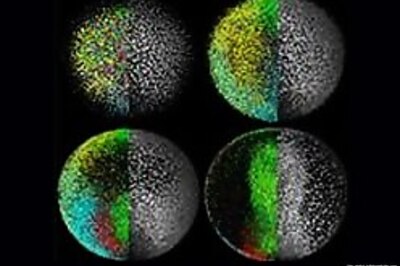 How life begins: First hours of embryo captured