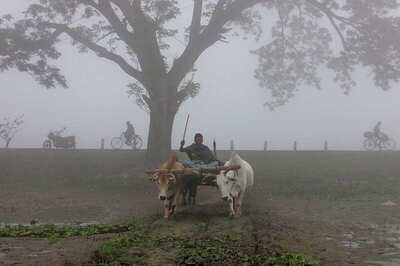 Below Normal Temperature in Most Parts of UP, Muzaffarnagar Records 5.5 Degree Celsius