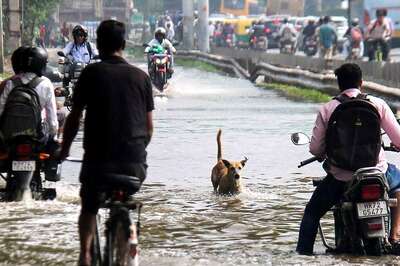 'Millennium City Turns Jalgram': Pictures Of Flooded Roads, Submerged Homes In Gurugram Go Viral