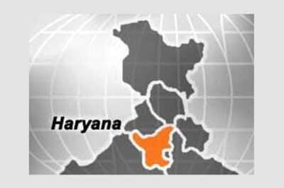 Congress ahead in nine of Haryana's 10 seats