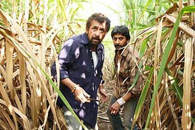 Winners of Masand movie review contest (May 14)