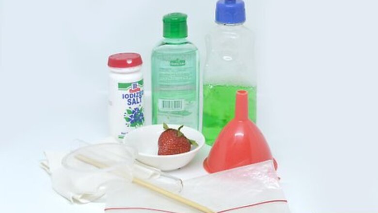 How to Extract Strawberry DNA