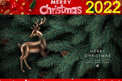 Christmas 2022: Are You Dreaming of a Green Christmas? Check Out Some Amazing Ideas Here