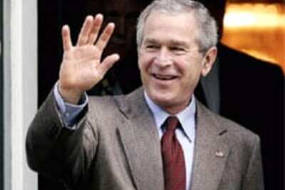 Naughty or nice? Bush is both