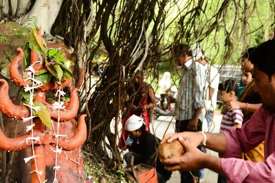 Nag Panchami 2021: Here's Why Snakes are Worshipped in India?