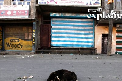 Chhattisgarh HC Awards Rs 6.5L Compensation for Stray Dog Attack Victim: Some Systemic Solutions