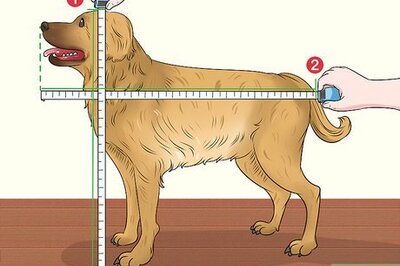 How to Build a Dog Crate
