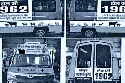 Yogi 2.0 Govt to Introduce 520 Mobile Veterinary Units, Helpline in Attempt to Help Farmers