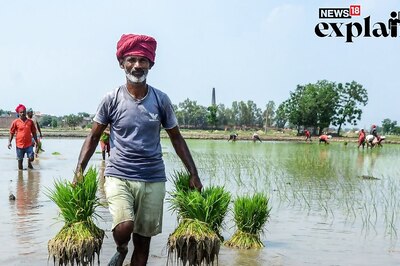 What is El Nino Effect and Why it Has Led to Concerns Over Food Inflation | Explained