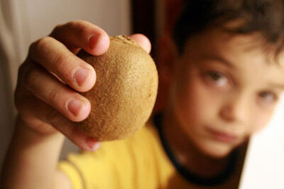 How to Describe a Smell