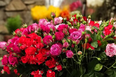 A Rosy Day for Flower Sellers as Demand and Prices Surge, Gives Fresh Relief to Covid-hit Markets