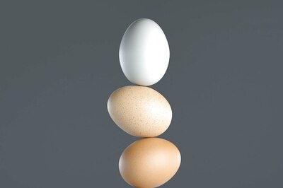 White egg and brown egg difference, which is better?