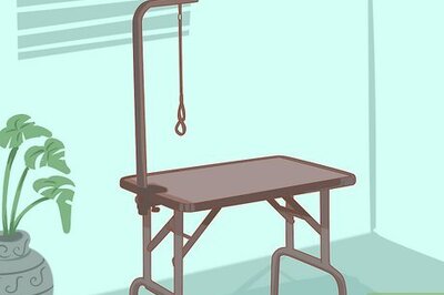 How to Brush a Poodle