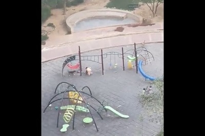 Another Stray Dog Attack! Noida Woman Seen Running For Life in Viral Video | WATCH