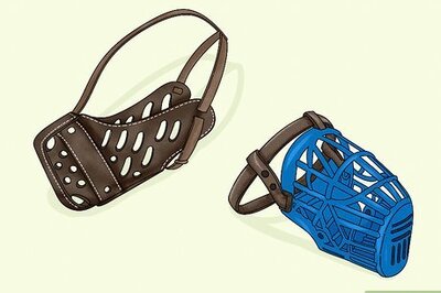 How to Cover a Dog's Mouth