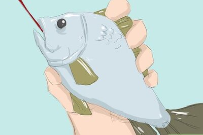 How to Disgorge a Fish