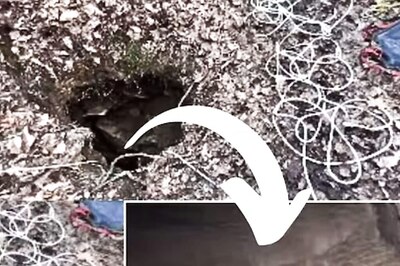 Watch: Man Discovers Underground Waterfall After Climbing Down A Hole In Forest