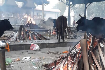 Intense Cold Wave Conditions Persist in North India, Temperature Set Rise Over Next Two Days