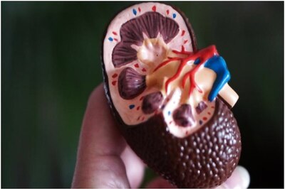 9 Golden Rules to Keep Your Kidneys Healthy