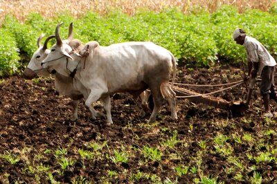 PM KISAN 12th Installment Likely Soon, Last Date to Complete eKYC Today; How to Do It