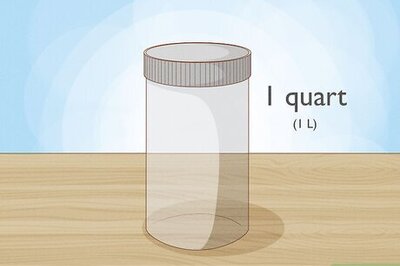 How to Grow Broccoli Sprouts