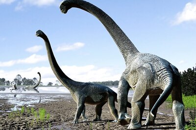 Paleontologists Discover New Sauropod Species in Argentina