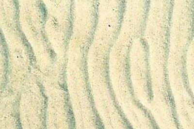 Lucknow grandma eats sand to keep fit