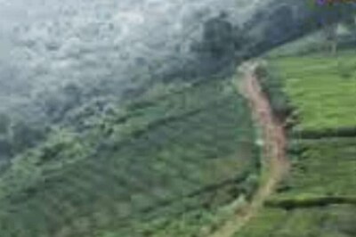 In This Tamil Nadu Village, Toda Tribe Struggles To Survive Amid Harsh Conditions