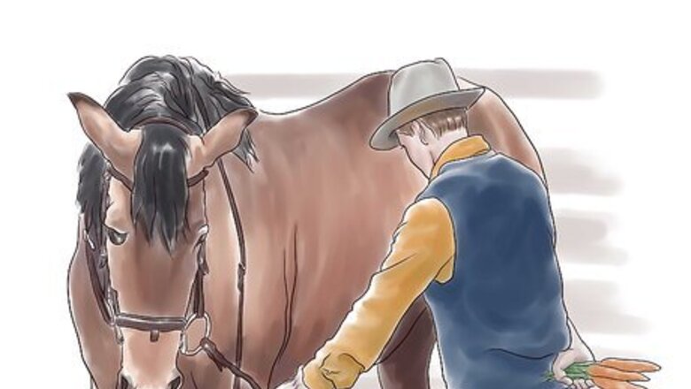 How to Stretch a Horse
