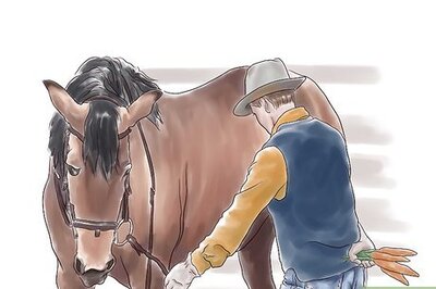 How to Stretch a Horse