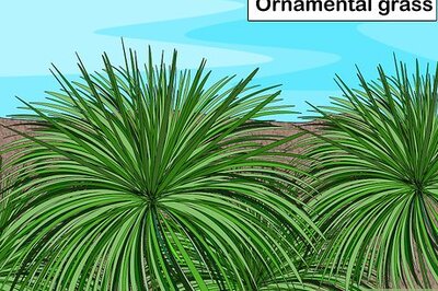 How to Design a Waterfront Garden