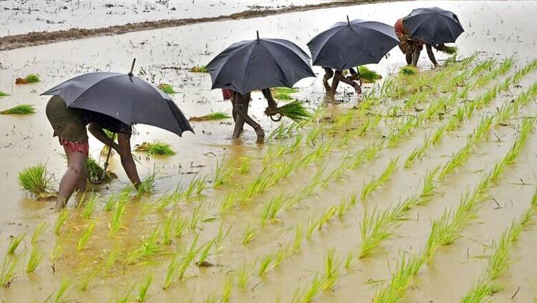 Crops, property worth lakhs damaged as heavy rains lash several parts of India