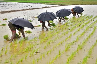 Crops, property worth lakhs damaged as heavy rains lash several parts of India