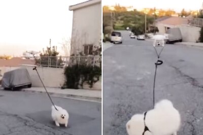 Watch: When This Cyprus Man Used Drone To Walk His Dog During 2020 Lockdown