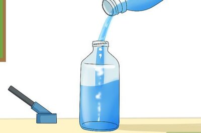 How to Feed a Sugar Glider