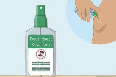 How to Prevent Flea Bites