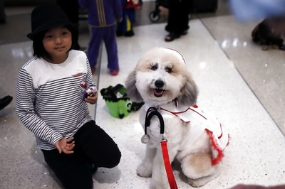 Attention Pet Parents, Here are 5 Dog Friendly Parks for You
