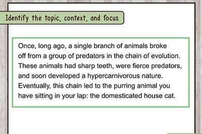 How to Start an Introductory Paragraph