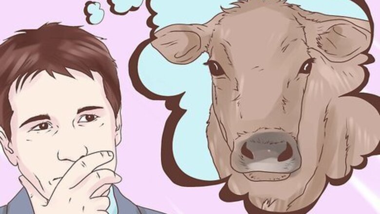 How to Identify Horned, Scurred and Polled Cattle