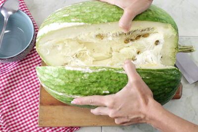 How to Freeze Spaghetti Squash