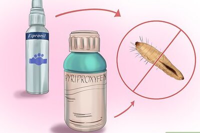 How to Control Ticks