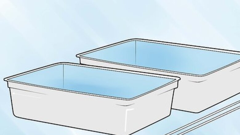How to Germinate Beans on Moist Kitchen Paper