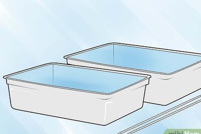 How to Germinate Beans on Moist Kitchen Paper