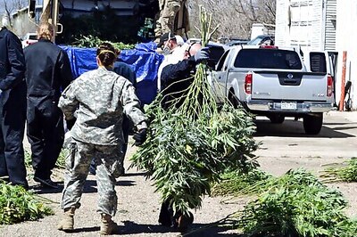 Overwhelmed By Illegal Pot, Oregon County Declares Emergency