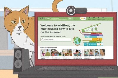How to Choose Between a Cat and a Dog
