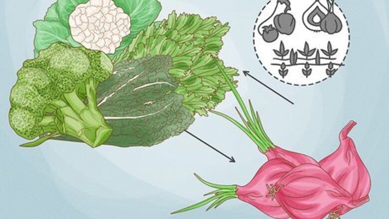 Onion Companion Planting Guide (Plus, 4 Plants to Avoid)