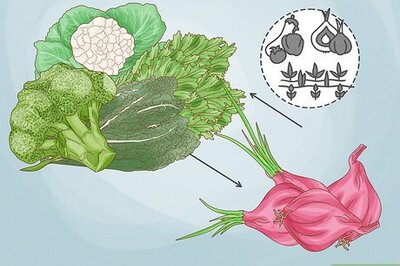 Onion Companion Planting Guide (Plus, 4 Plants to Avoid)